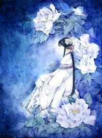 我的属性能加点